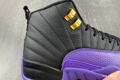 Jordan 739 Retro CT8013-057 EasyMatch Air 12 1117